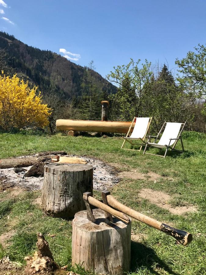 Charmante Gaestewohnung In Altem Bauernhaus In Alpiner Alleinlage Stanz Im Murztal Kültér fotó