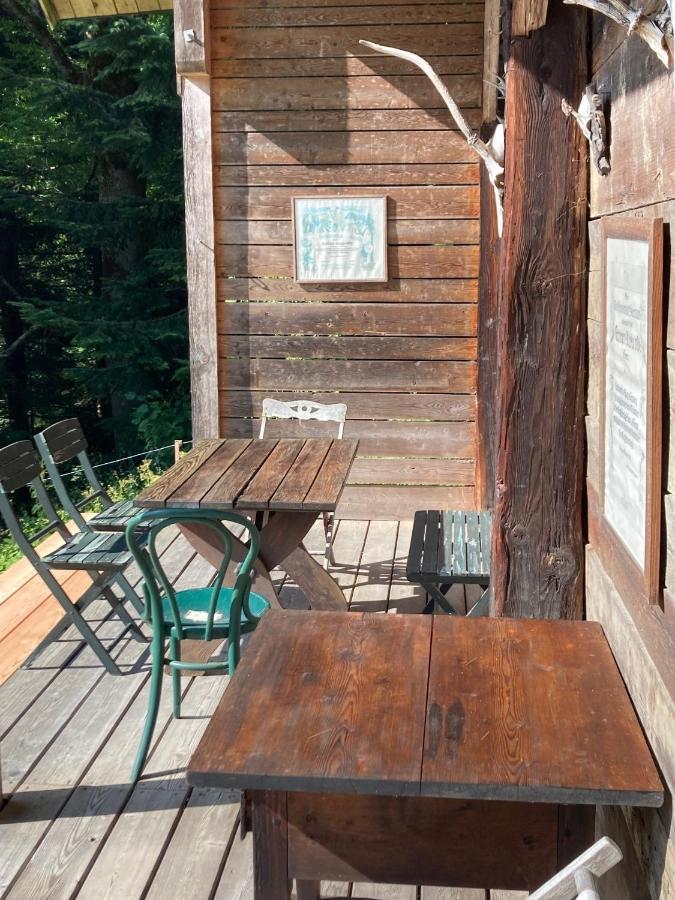 Charmante Gaestewohnung In Altem Bauernhaus In Alpiner Alleinlage Stanz Im Murztal Kültér fotó