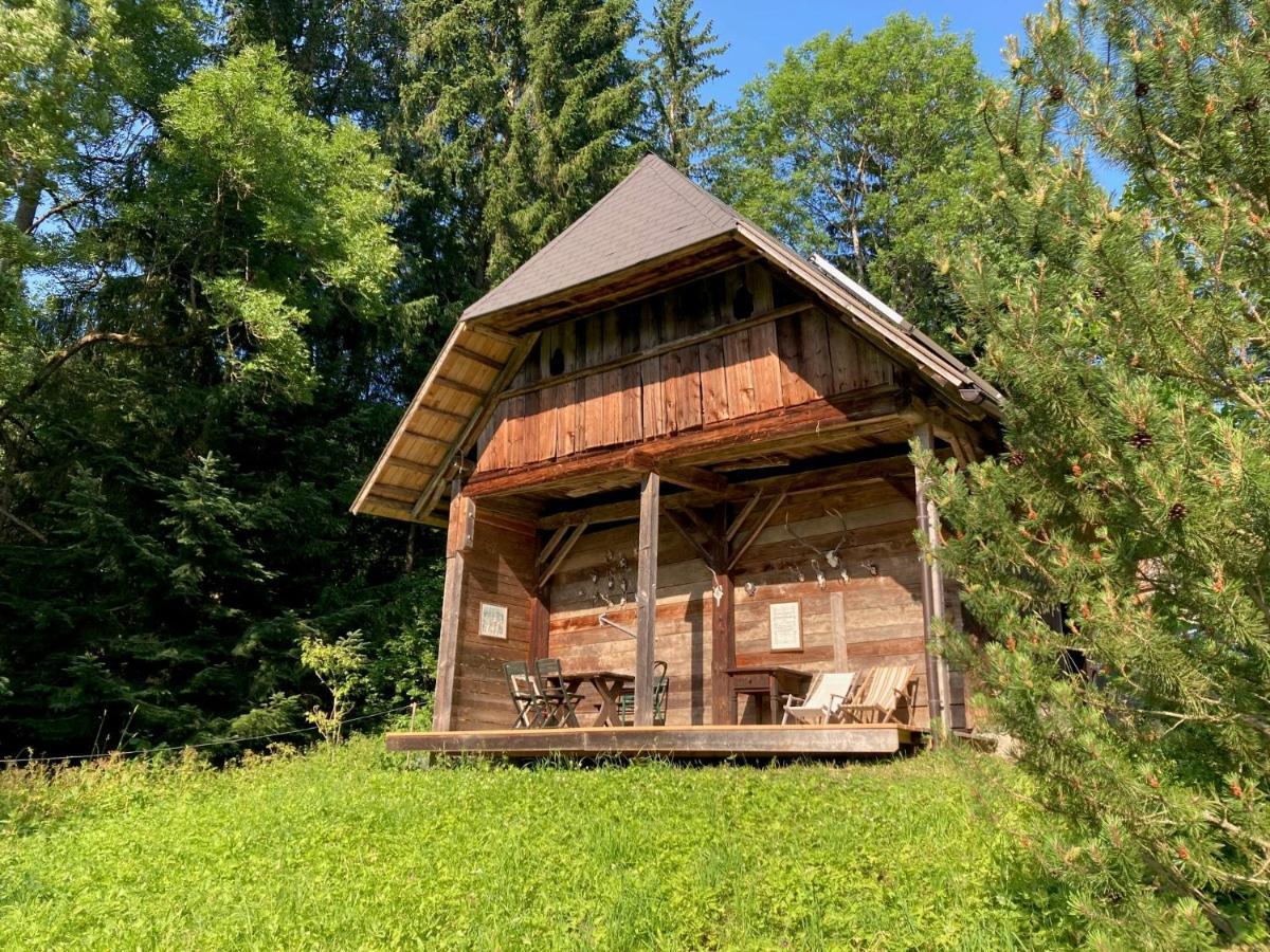 Charmante Gaestewohnung In Altem Bauernhaus In Alpiner Alleinlage Stanz Im Murztal Kültér fotó