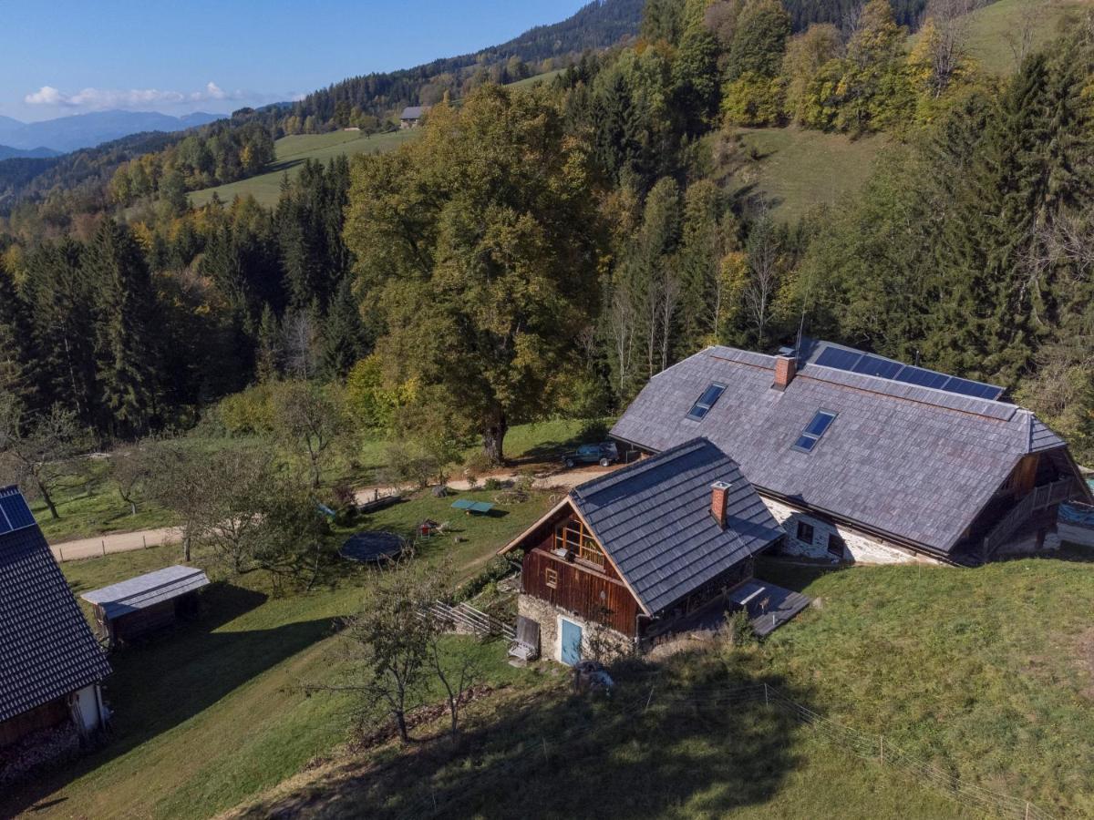 Charmante Gaestewohnung In Altem Bauernhaus In Alpiner Alleinlage Stanz Im Murztal Kültér fotó