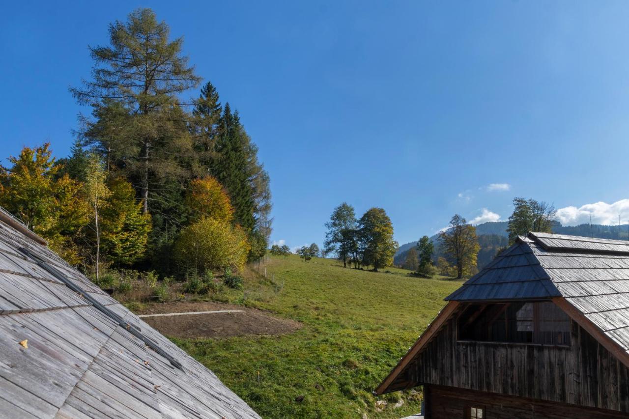 Charmante Gaestewohnung In Altem Bauernhaus In Alpiner Alleinlage Stanz Im Murztal Kültér fotó