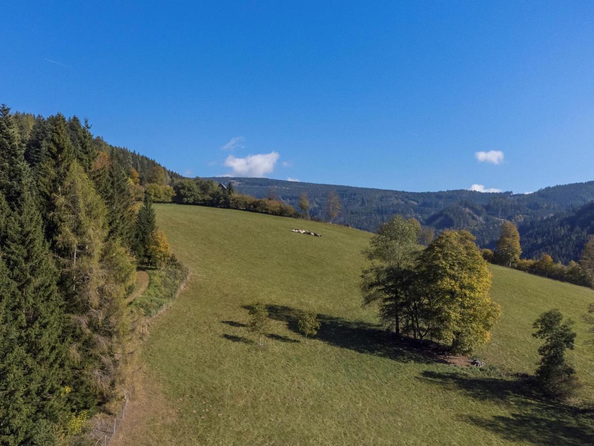 Charmante Gaestewohnung In Altem Bauernhaus In Alpiner Alleinlage Stanz Im Murztal Kültér fotó